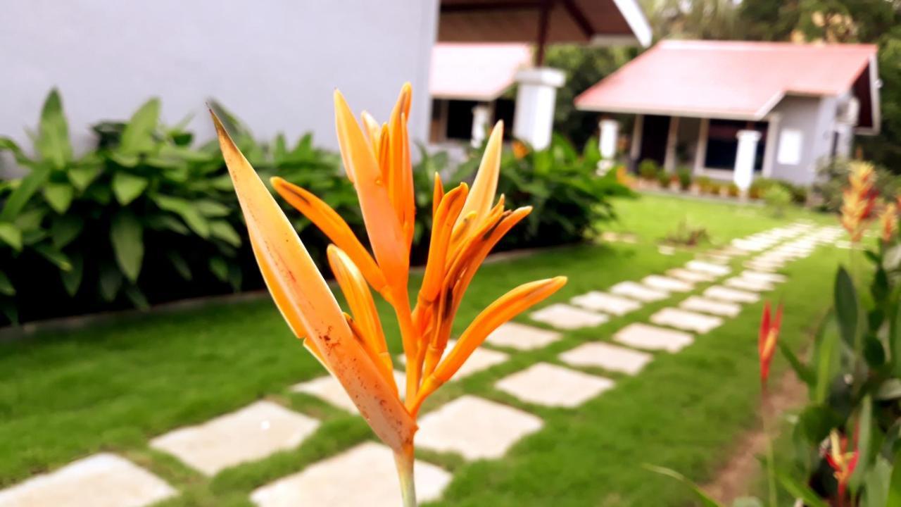 Arcadia Resort Alibaug Alibág Kültér fotó